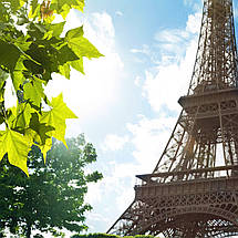 Плакат "Ейфелева Вежа та зелене листя, Париж, Paris, France", 60×43см, фото 2