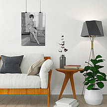 Плакат "Клаудія Кардінале, Claudia Cardinale", 60×43см, фото 4