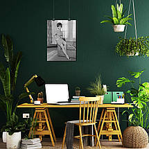 Плакат "Клаудія Кардінале, Claudia Cardinale", 60×43см, фото 5