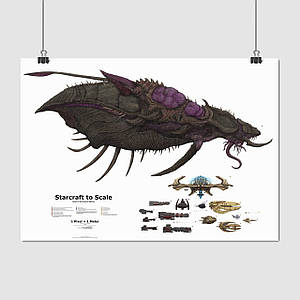 Плакат "Порівняльна схема розміру кораблів, Старкрафт, StarCraft", 43×60см