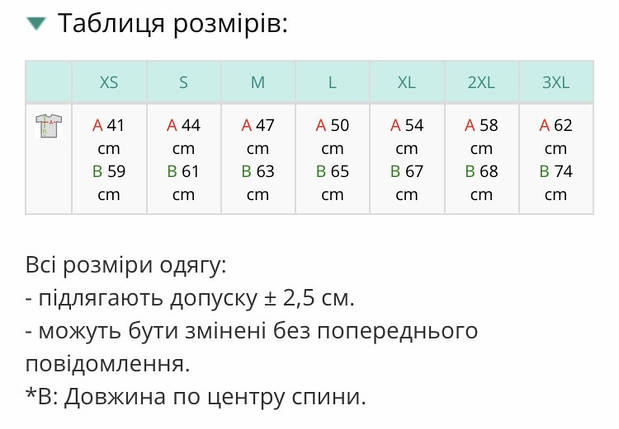 Футболка "Де Дух Господній, там воля" Приталений покрій, фото 4