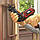 Насадка Multievo шабельна BLACK+DECKER MTRS10, фото 4