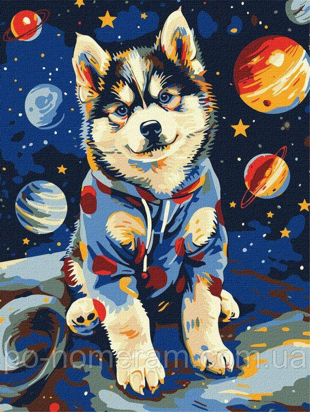 Картини за номерами Ідейка Космічний хаскі ©art_selena_ua (KHO6645) 30 х 40 см