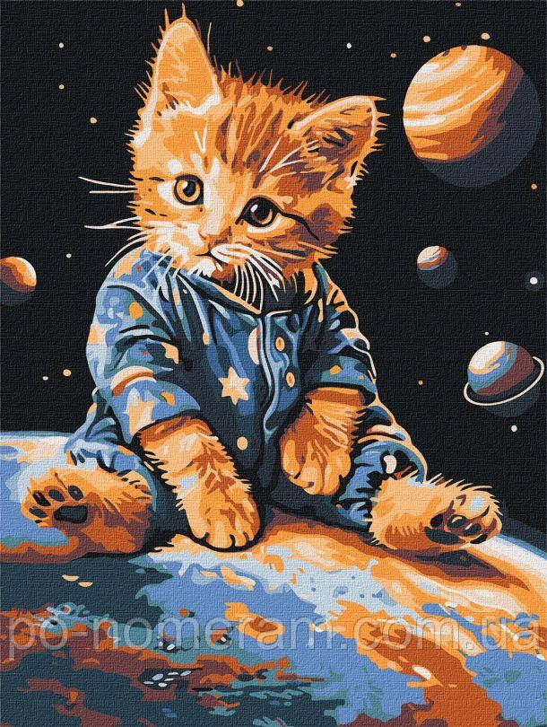 Картини за номерами Ідейка Зоряний котик ©art_selena_ua (KHO6646) 30 х 40 см