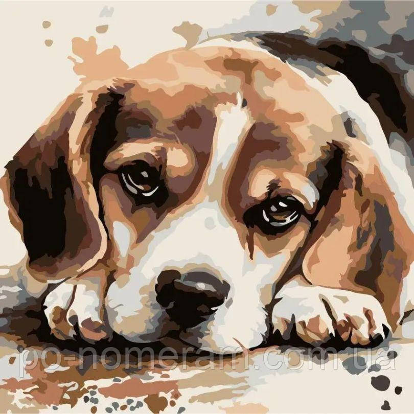 Розмальовки за номерами ArtStory Гарнюня бігль ДВП (AS2217) 30 х 30 см