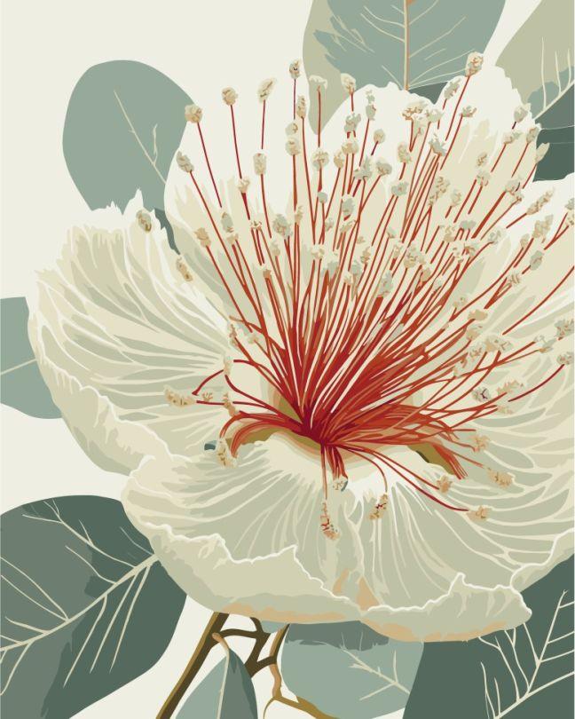 Картина за номерами ArtCraft Квітучий евкаліпт (ACR-13155-AC) 40 х 50 см, фото 1