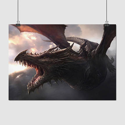 Плакат "Наїзник на драконі", 43×60см, фото 1