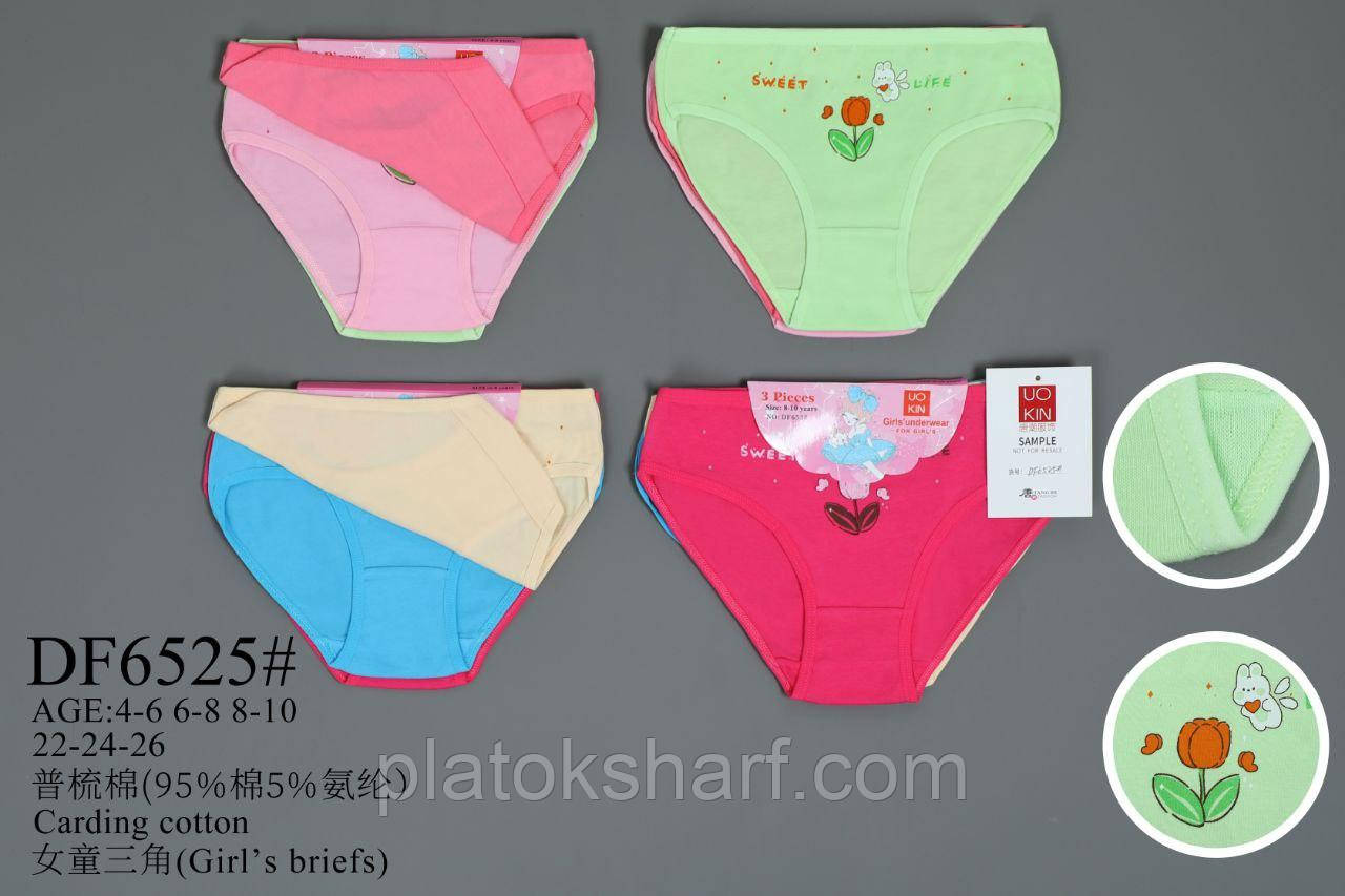 Труси дитячі «Стильні» до 8 років (6525)