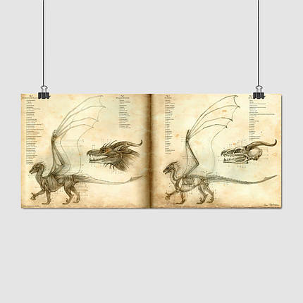 Плакат "Анатомія дракона", 26×60см, фото 1