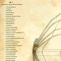 Плакат "Анатомія дракона", 26×60см, фото 2