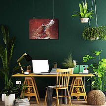 Плакат "Баскетболіст Bulls піднімає м'яч угору", 43×60см, фото 5