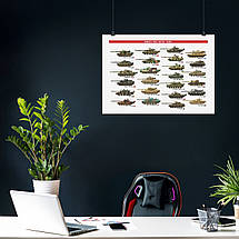 Плакат "Сучасні танки різних країн", 42×60см, фото 3