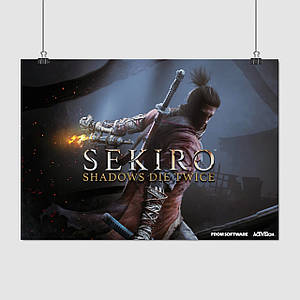 Плакат "Однорукий вовк: Тіні вмирають двічі, Sekiro: Shadows Die Twice", 42×60см