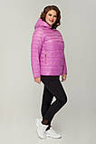 Стильна жіноча демісезонна коротка стьобана куртка утеплена -''Паула'', фото 2