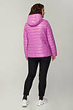 Стильна жіноча демісезонна коротка стьобана куртка утеплена -''Паула'', фото 3