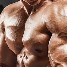 Плакат "Бодібілдер качає біцепс на тренажері", 60×43см, фото 2