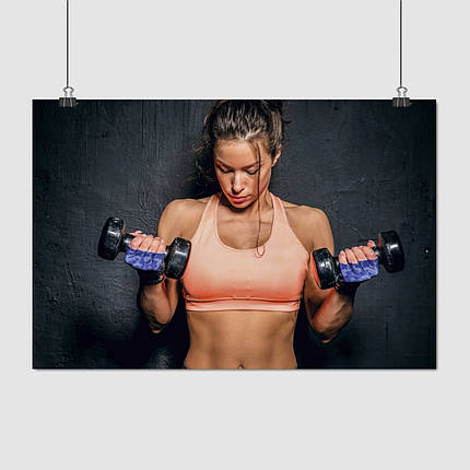 Плакат "Дівчина з двома гантелями, шейпінг", 40×60см, фото 1