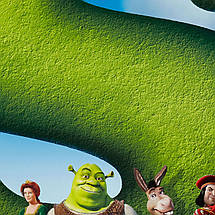 Плакат "Шрек, Shrek (2001)", 60×40см, фото 3