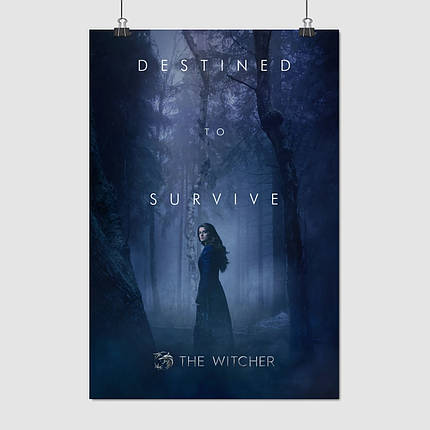 Плакат "Відьмак, сезон 2, Йеннефер, Witcher, Yennefer", 60×41см, фото 1