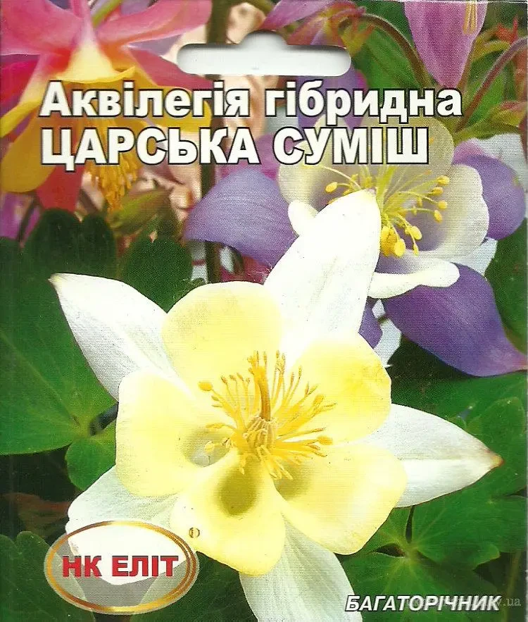 Насіння квітів Аквілегія гібридна Царська суміш 0,2 гНК Еліт