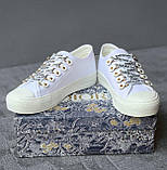 Жіночі кросівки Dior Low-Top Sneakers, жіночі кросівки діор лов топ, жіночі кросівки Dior Low-Top Sneakers, фото 6
