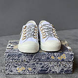 Жіночі кросівки Dior Low-Top Sneakers, жіночі кросівки діор лов топ, жіночі кросівки Dior Low-Top Sneakers, фото 7