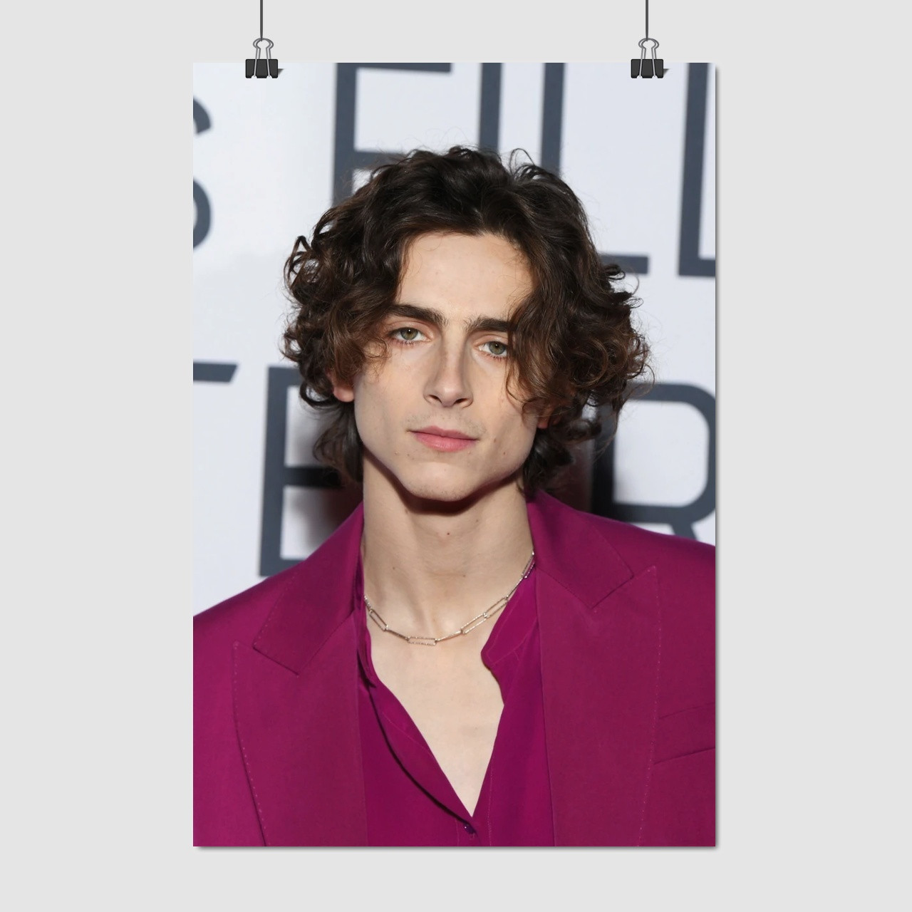 Плакат "Тімоті Шаламе, Timothée Chalamet", 60×40см