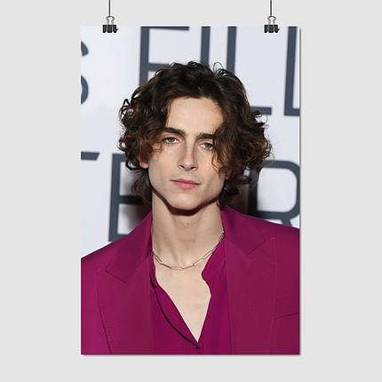Плакат "Тімоті Шаламе, Timothée Chalamet", 60×40см, фото 1
