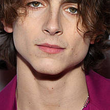 Плакат "Тімоті Шаламе, Timothée Chalamet", 60×40см, фото 2