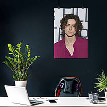 Плакат "Тімоті Шаламе, Timothée Chalamet", 60×40см, фото 3