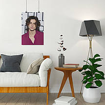 Плакат "Тімоті Шаламе, Timothée Chalamet", 60×40см, фото 4