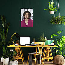 Плакат "Тімоті Шаламе, Timothée Chalamet", 60×40см, фото 5