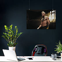 Плакат "Конор Мак-Грегор, Conor McGregor", 43×60см, фото 3