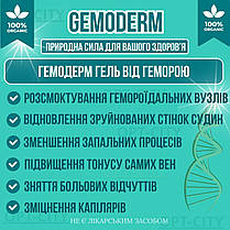 Гель від геморою Гемодерм з екстрактами трав GemoDerm з посиленою формулою та антисептичними властивостями, фото 2