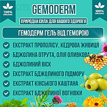 Гель від геморою Гемодерм з екстрактами трав GemoDerm з посиленою формулою та антисептичними властивостями, фото 3