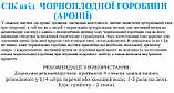 Чорноплодна горобина / Аронія (сік концентрат), 0.2 літри, фото 2
