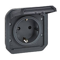 Розетка 2К+З з гвинтовими клемами, Legrand PLEXO IP55 антрацит (069839L)