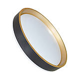 LED світильник накладний 45W з пультом ДК ETRON MODERN, люстра чорна золота, фото 7