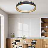 LED світильник накладний 45W з пультом ДК ETRON MODERN, люстра чорна золота, фото 2