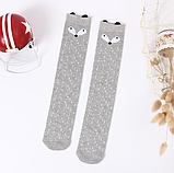 Гольфи - панчохи для дівчинки (10138), фото 3