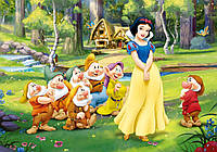 Вафельна картинка Білосніжка 2