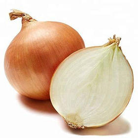 Цибуля сівок озима Штур БС 20 8/21 1кг / Broer