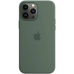 Силіконовий чохол iPhone 13 Pro Max Apple Silicone Case with MagSafe (анімація) - Eucalyptus