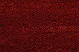 Килим сучасний 2х2,9 прямокутної ASTORIA PC00A red, фото 5