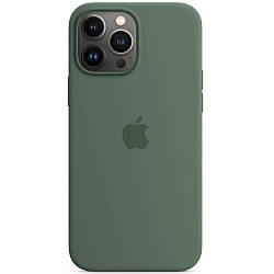 Силіконовий чохол iPhone 13 Pro Apple Silicone Case with MagSafe (анімація) - Eucalyptus