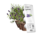 Змінний картридж до гроубоксу Click and Grow Лаванда (7472)