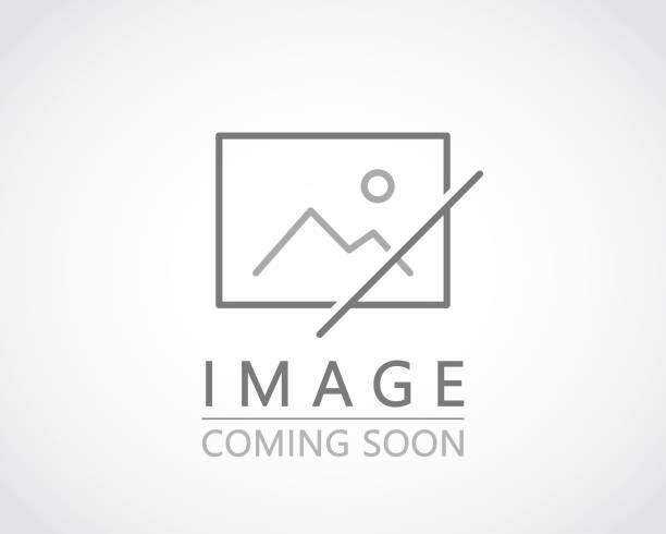 Корм Шиншилка Ензим NEW