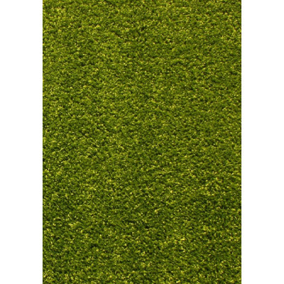 Килим Kolibri зеленого цвета прямокутний 2.40х3.40, фото 1