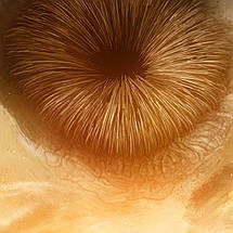 Плакат "Дюна, Dune (2021)", 60×40см, фото 3