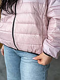 Стильна стьобана жіноча демісезонна коротка куртка утеплена ''Роббі'', фото 4
